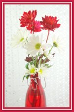 Red and White Daisies.jpg