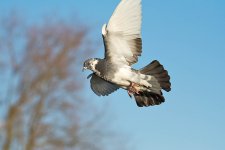 DSC_1491.jpg