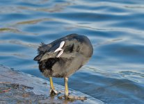 DSC_1504.jpg