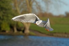 DSC_1476.jpg