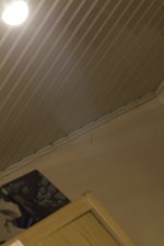 051.JPG