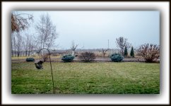 DSC_0835.jpg