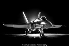 DSC_3931.jpg
