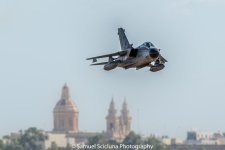 DSC_9838.jpg