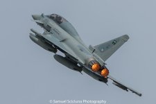 DSC_8396.jpg