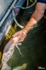 catchin-a-fish-5.jpg