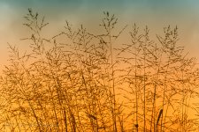 NEW_5061_webshot.jpg