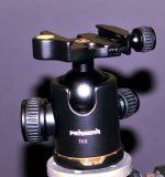 JT1_4860.jpg