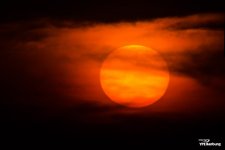 sunrise-8.jpg