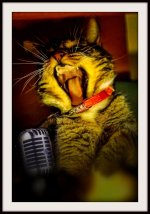 Bill's Live in Las Vegas Review 2014  a.jpg