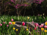 spring11 016.jpg