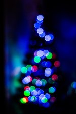 DSC_4525-2.jpg