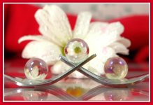 Daisy, Forks, and Marbles.jpg
