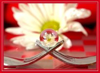 Daisy, Forks, and a Marble.jpg