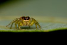 DSC_7387.jpg
