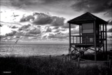 DFB Sunrise 12-21-14   27 bw.jpg