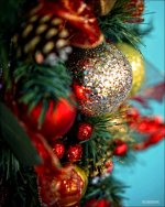 Tilford Christmas  3.jpg