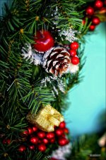 Tilford Christmas  4.jpg
