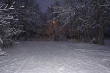 _0004741.jpg