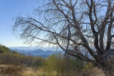 Palomar Mountain #1.jpg