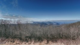 Cherohalla-.jpg
