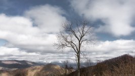 Cherohalla--3.jpg
