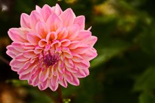 DSC_6707.jpg