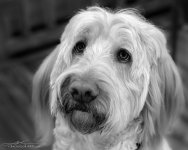 20141222-DSC00797-Edit.jpg