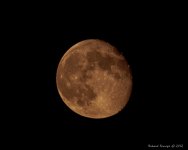 DSC_8330.jpg