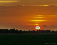 DSC_8402.jpg