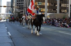DSC_0939.jpg