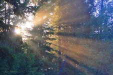 sunstreaks.jpg