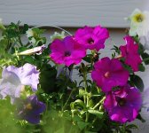 DSC_1113.jpg