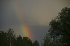 Rainbow.jpg