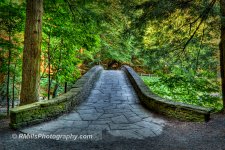 DSC_0022_2674_3_2675_4_2676_tonemapped-2.jpg