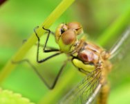20120717_10.JPG