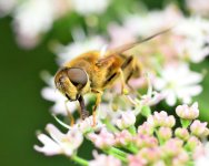 20120717_44.JPG