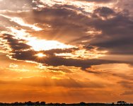 DSC_8451.jpg