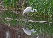 _DSC3048-1197302987-O.jpg