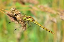 20120719_7.JPG