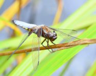 20120719_62.JPG