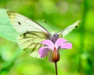 20120719_65.JPG
