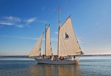 DSC_7798.jpg
