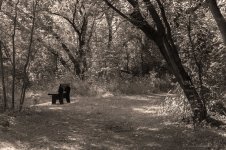 DSC_9275.jpg