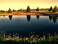 calm morning 900.jpg