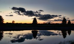 July pond 900.jpg