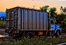 truck (800x552).jpg