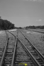 B&W Small Narrow Train Track.jpg