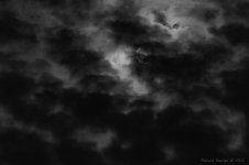 DSC_9721.jpg
