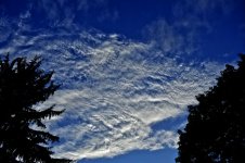cloud2 (800x531).jpg